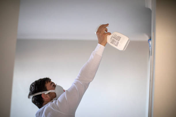 Professional Mold Remediation in Simpsonville, SC